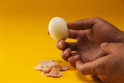 כמה גרם חלבון יש בביצה